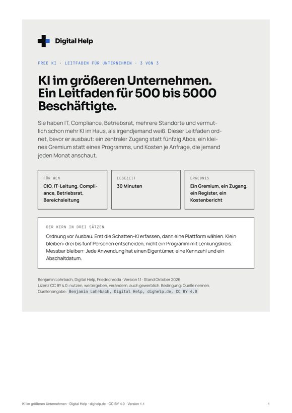 Titelseite: Leitfaden KI im größeren Unternehmen